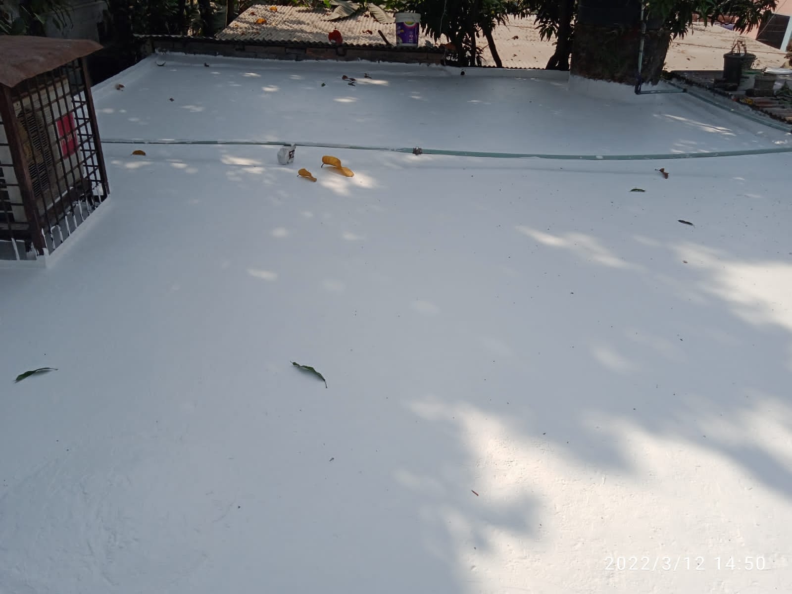 Project Image 5